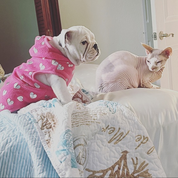 ๐๐MEET YOUR SELLER๐๐ ๐๐MEET YOUR BUYER๐๐ - Picture 9 of 9